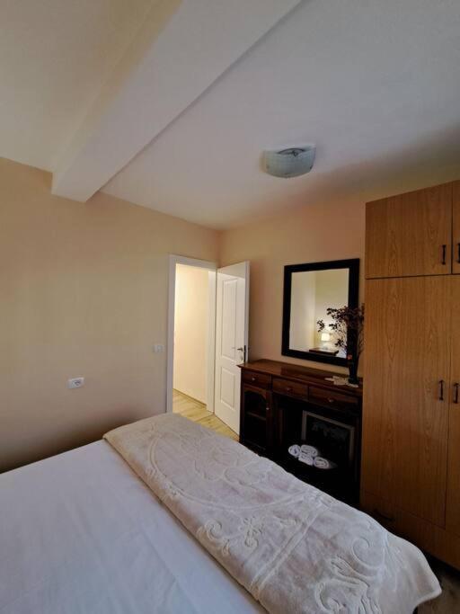 Quiet, Cozy, Luminous Apartment 地拉那 外观 照片