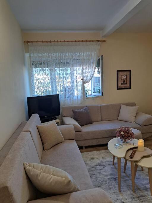 Quiet, Cozy, Luminous Apartment 地拉那 外观 照片